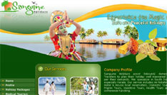 high quality web designing companies in kerala